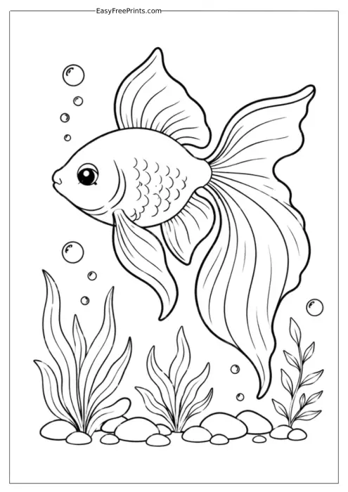 Goldfish Swimming Above River Stones